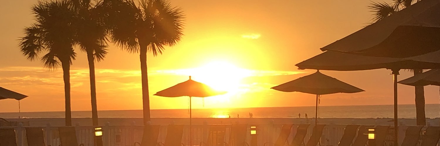 MollySCromer's profile banner image
