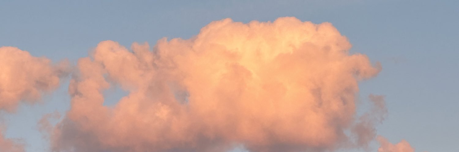 amanda | kissco! ✩‧˚౨ৎ˚✩‧ banner