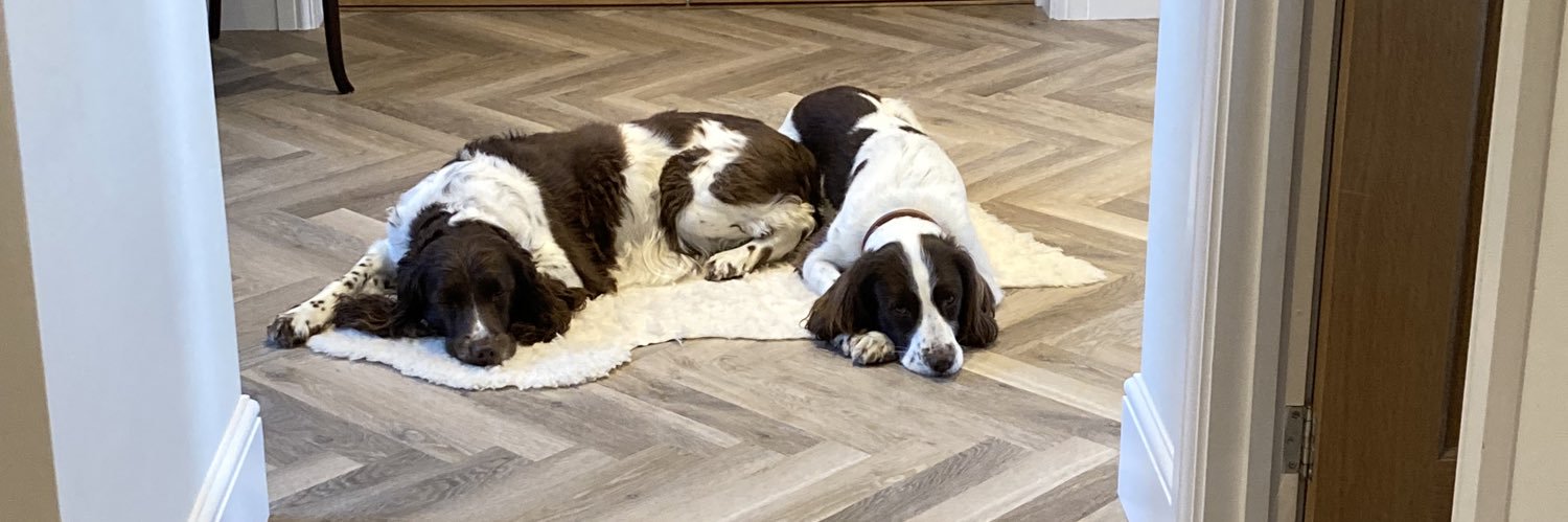 Michelle Greatorex banner