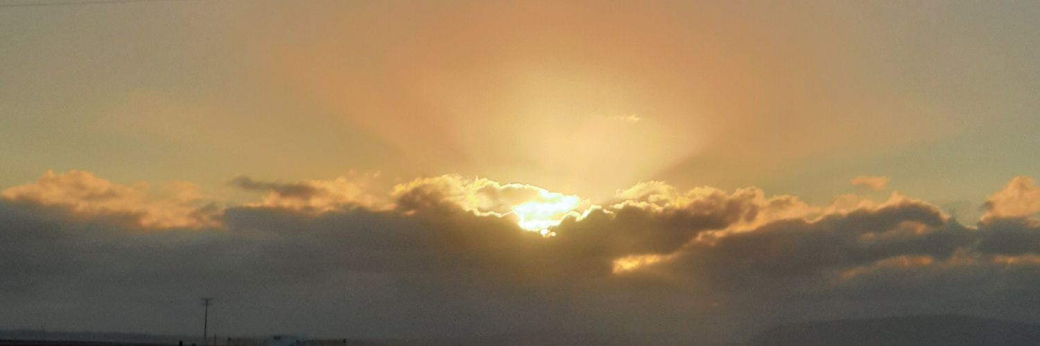 demeter23's profile banner image