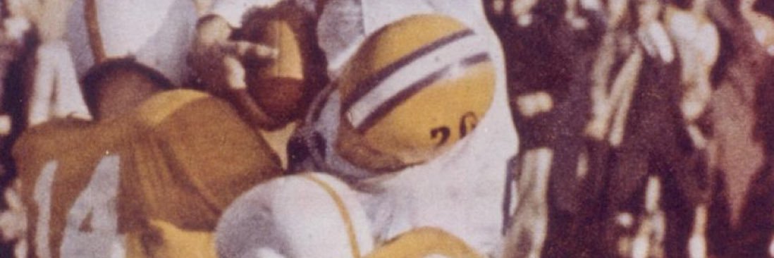 papawvol's profile banner image