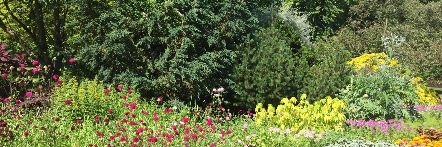 jaynecoops's profile banner image