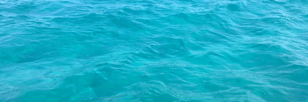 Chiara banner