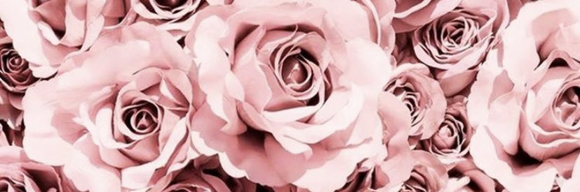 PauliVidal96's profile banner image