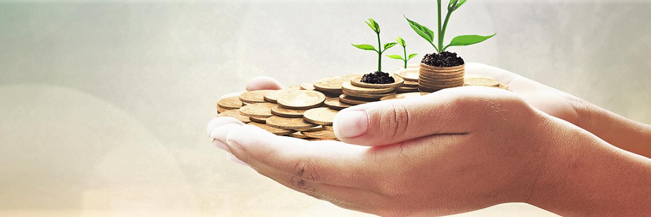 KBC Securities banner