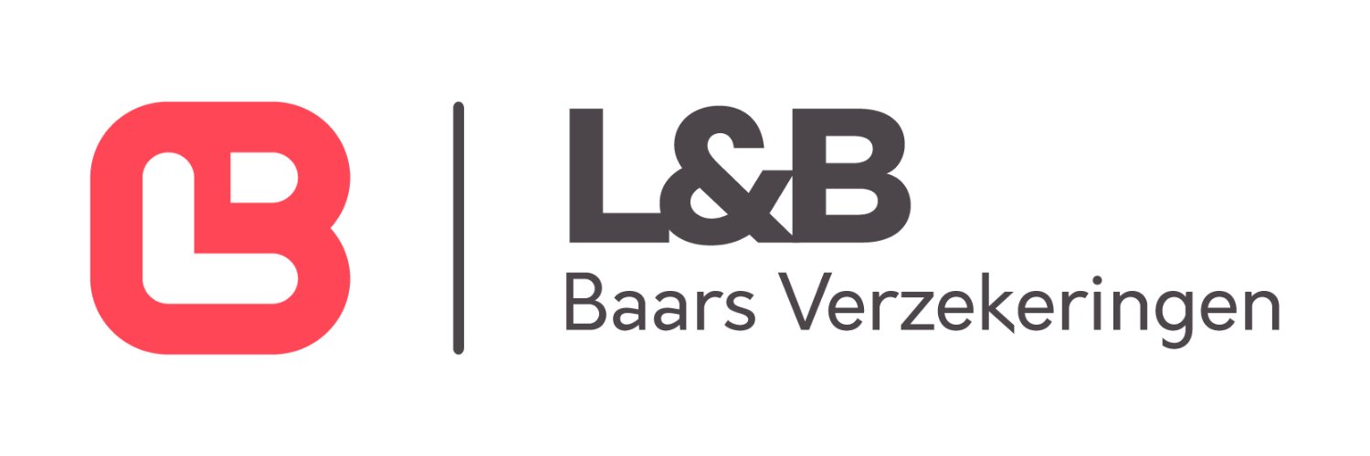 BaarsInBusiness's profile banner image