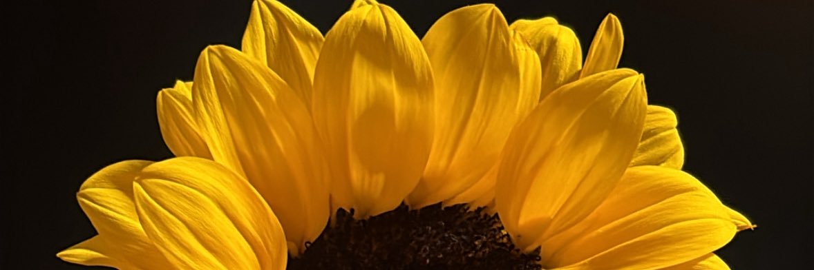 KATHERINE__OS's profile banner image