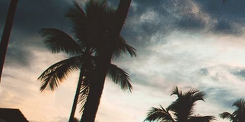 Jessieeee_x's profile banner image