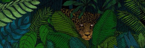 Candaceywacey's profile banner image