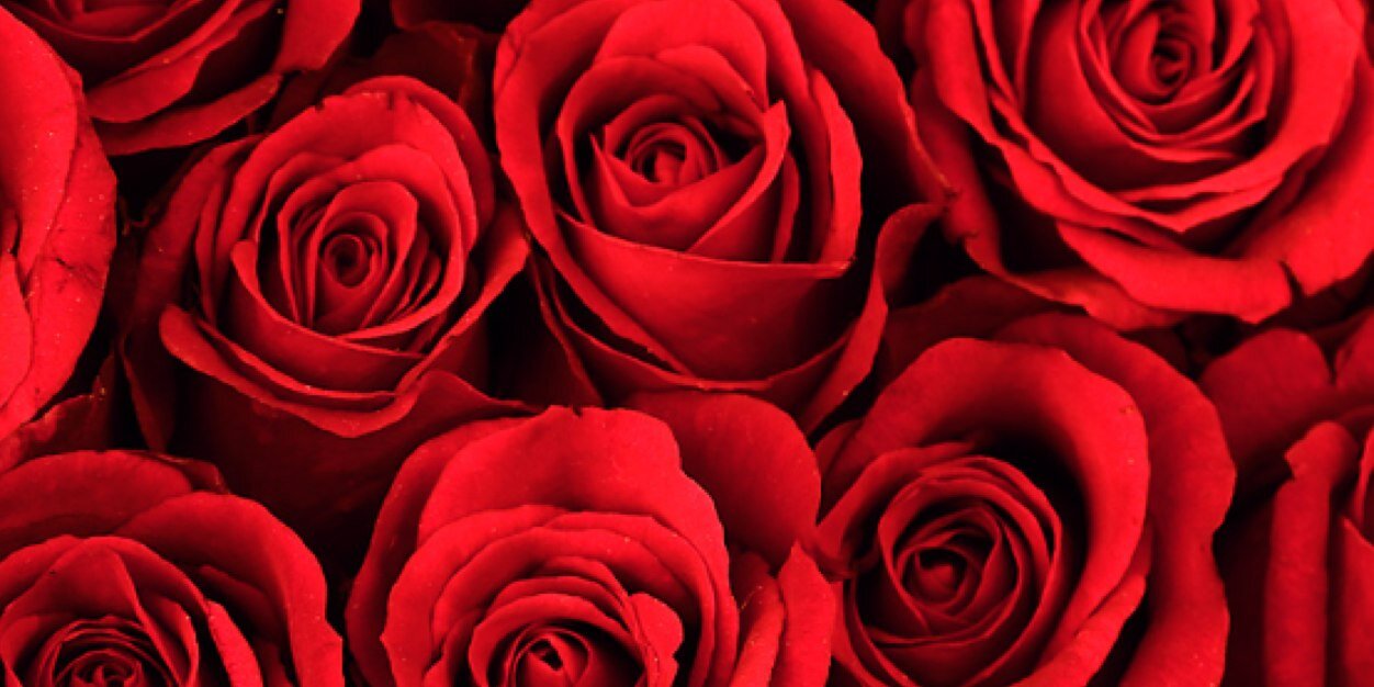 MaartaSM's profile banner image