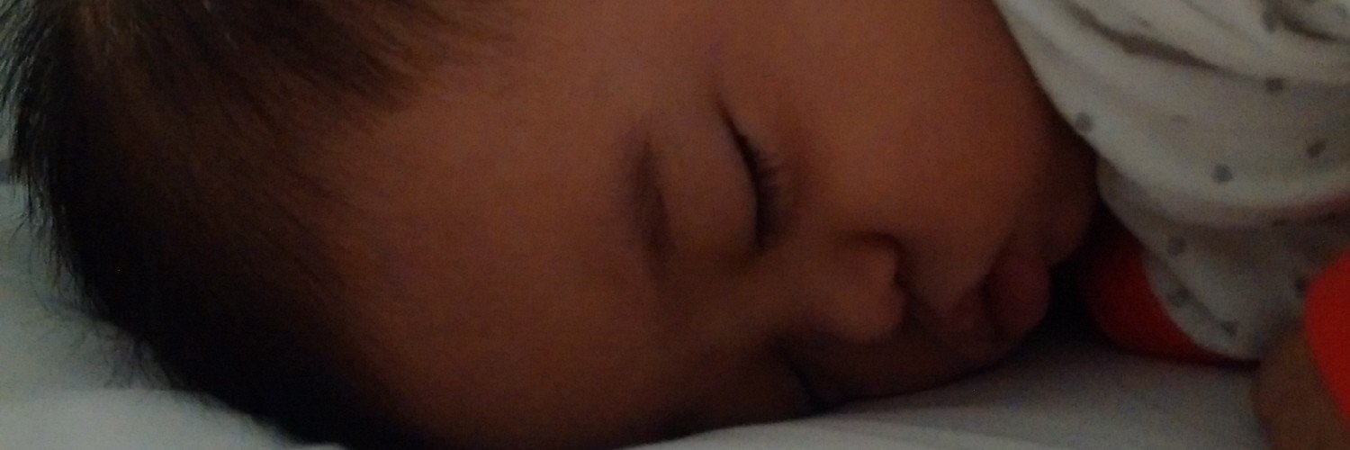 mioperdani's profile banner image