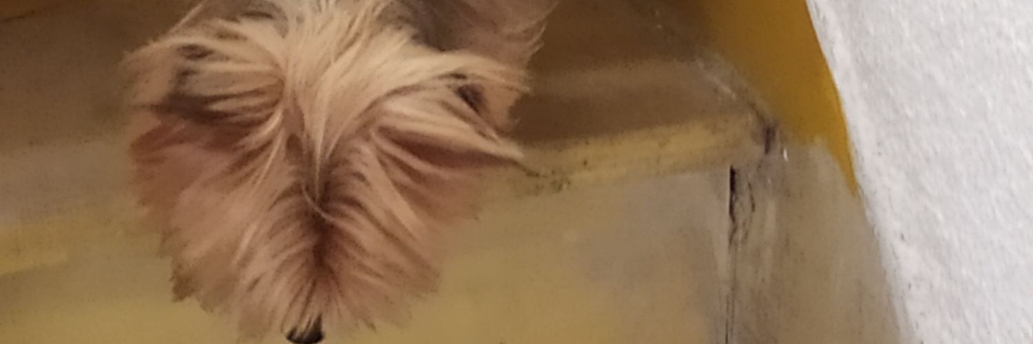 FEC banner