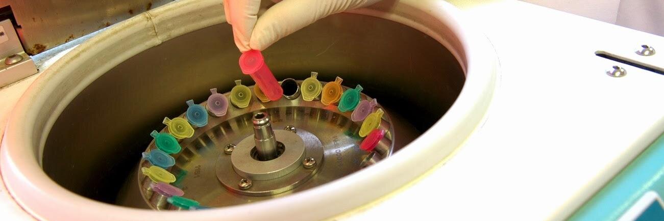 Agência FAPESP banner