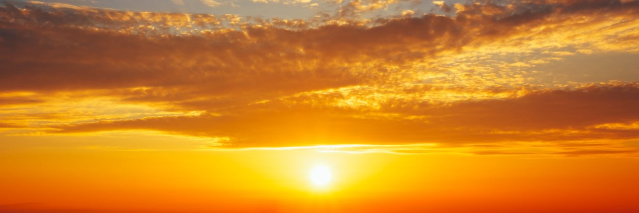 AlanDPariser's profile banner image