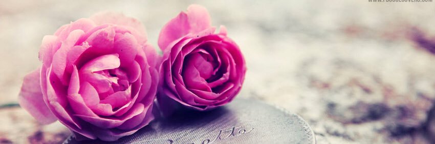 GOA_Angel_83's profile banner image