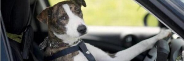 cushac Profile Banner