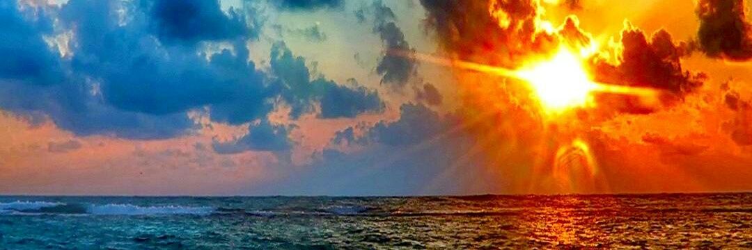 John 🎸🎶🎵 banner