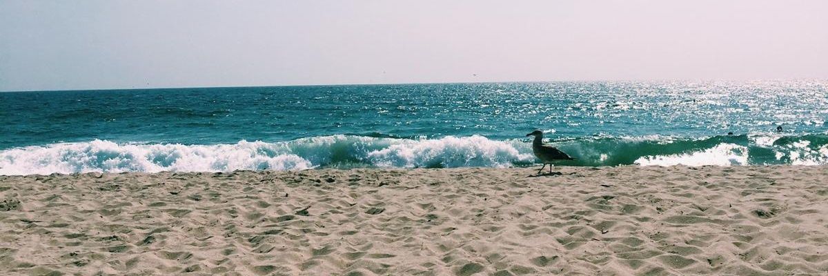 MartaaPascual's profile banner image