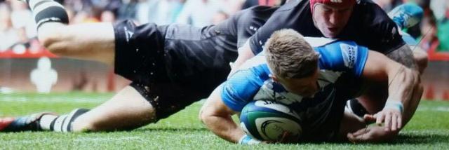 Mathew Edwards banner
