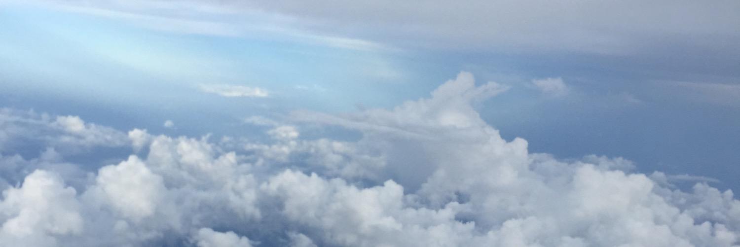 Saraltamami's profile banner image