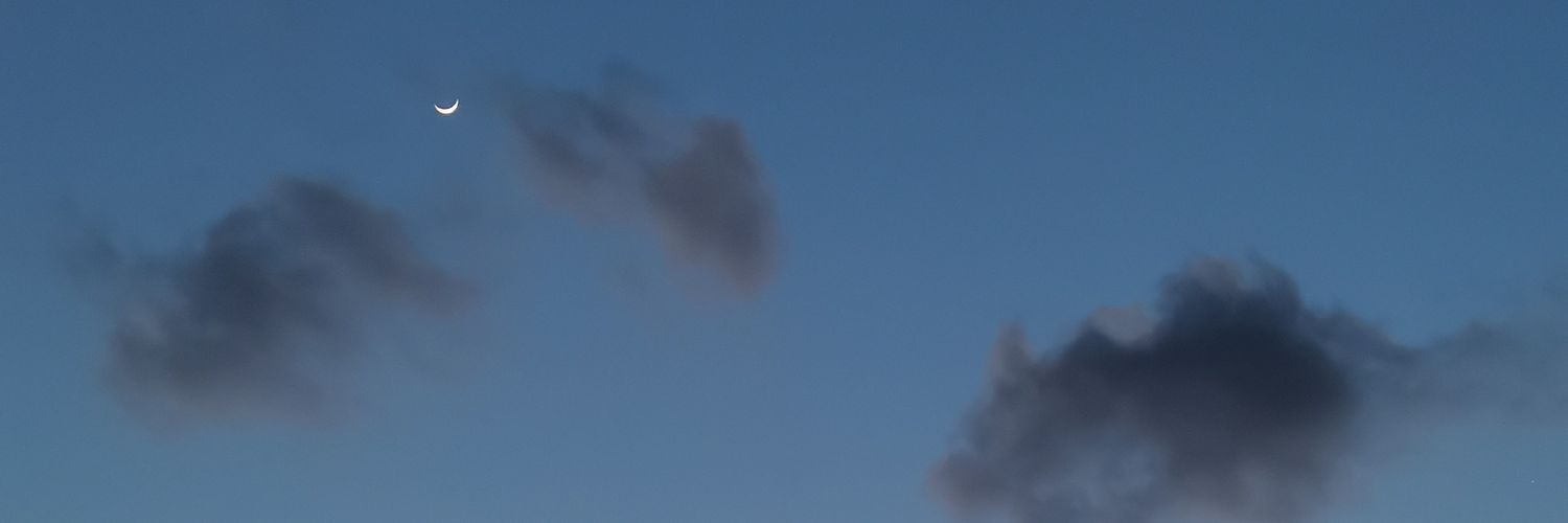 aivlisrr's profile banner image