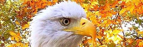 asim_rich's profile banner image