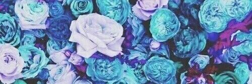 maristarlight_'s profile banner image