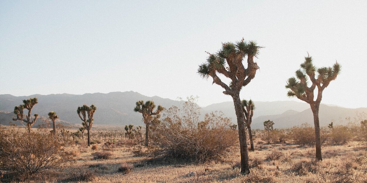 jacklynbarber's profile banner image