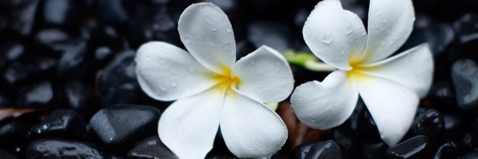 dhani_law's profile banner image