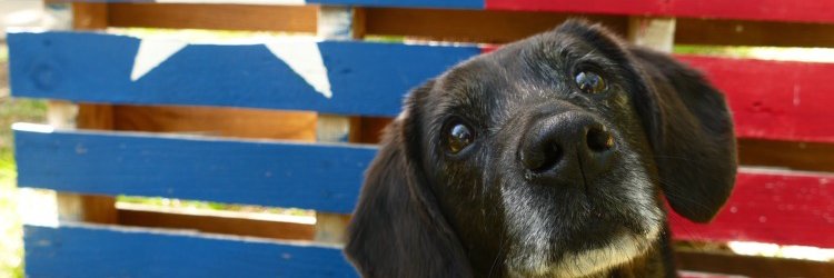 savvymarten's profile banner image