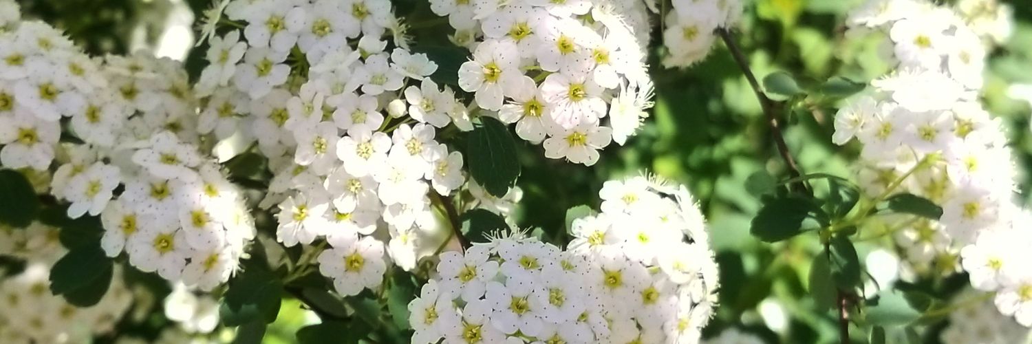 EliChamley's profile banner image