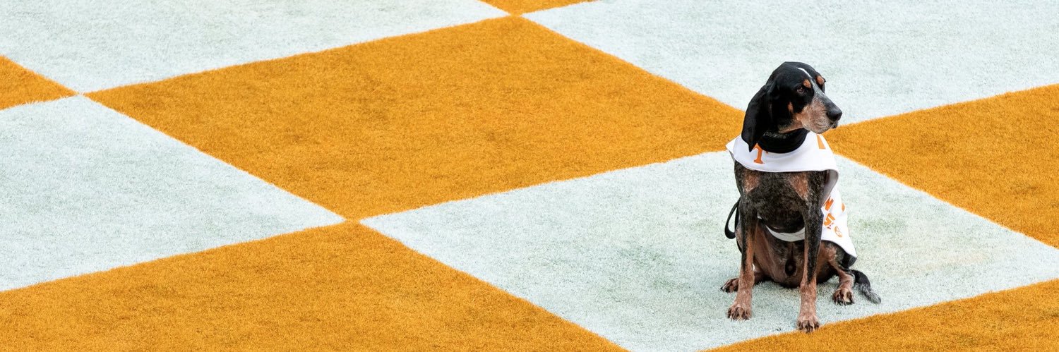 daddyduck24's profile banner image