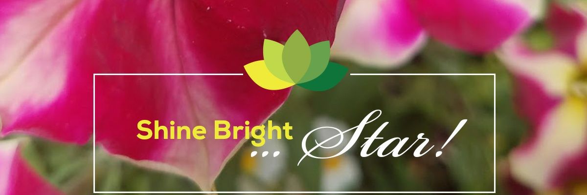 TheGreenGood's profile banner image