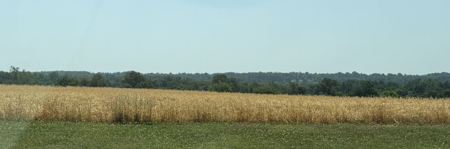 CarvertheSpeedo's profile banner image