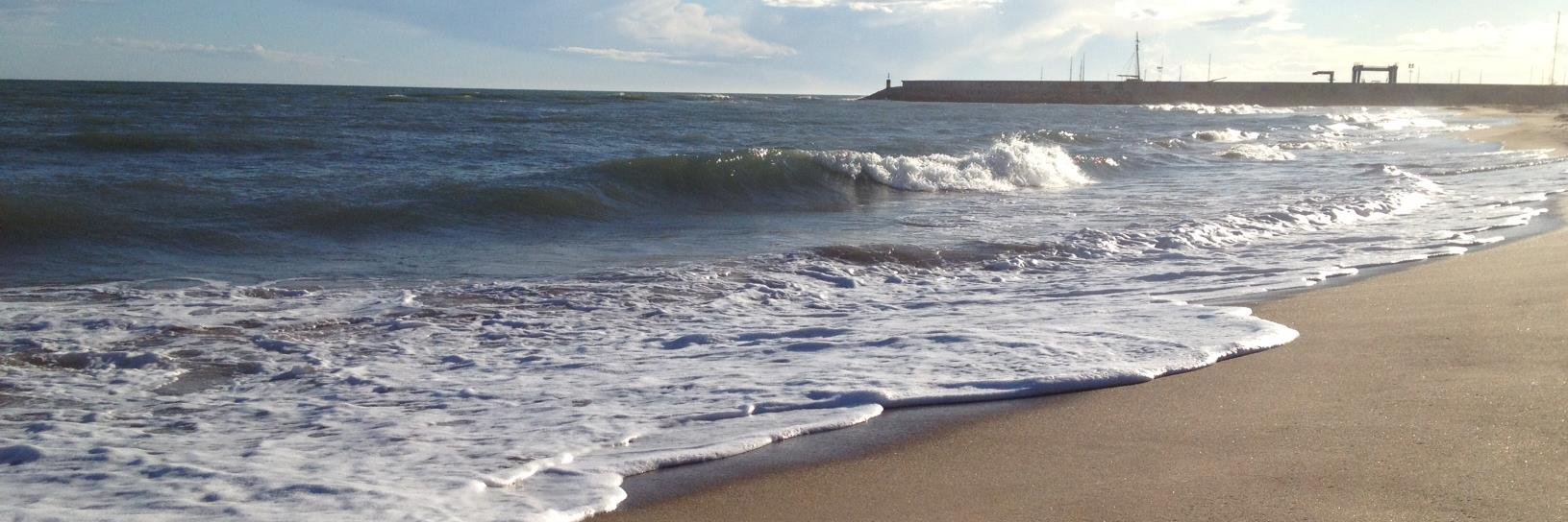 Carme Reverte banner