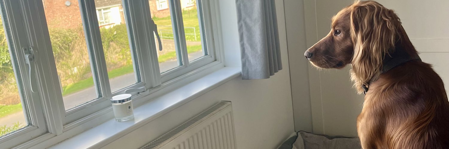 katie_mathieson's profile banner image