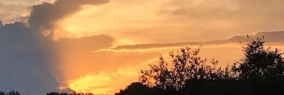 omalwrod's profile banner image