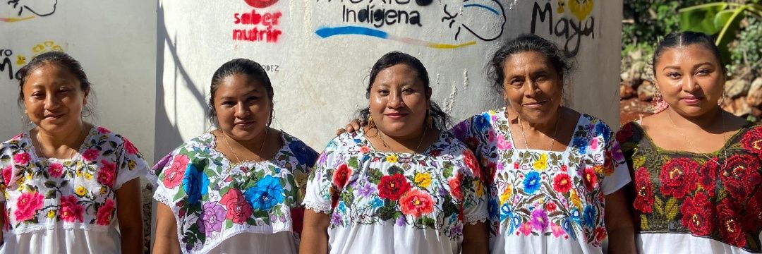 ProMexIndigena's profile banner image