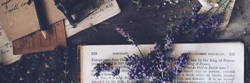 lizzypombo's profile banner image