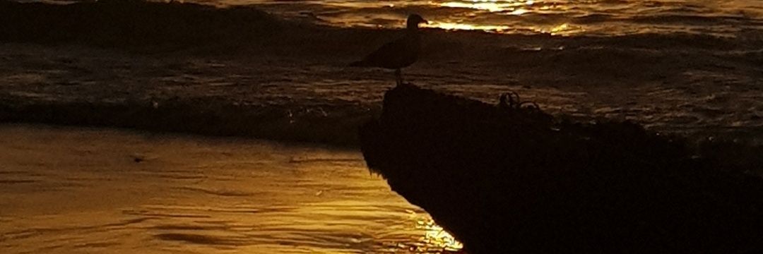 jrvelas's profile banner image