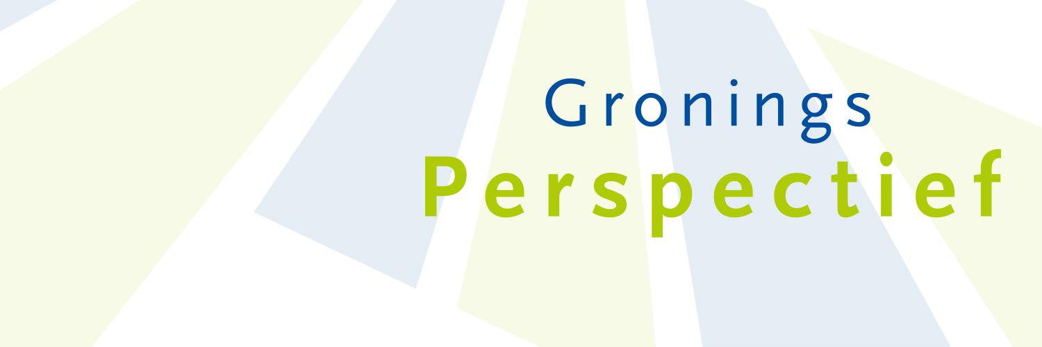 GroningsPerspectief banner