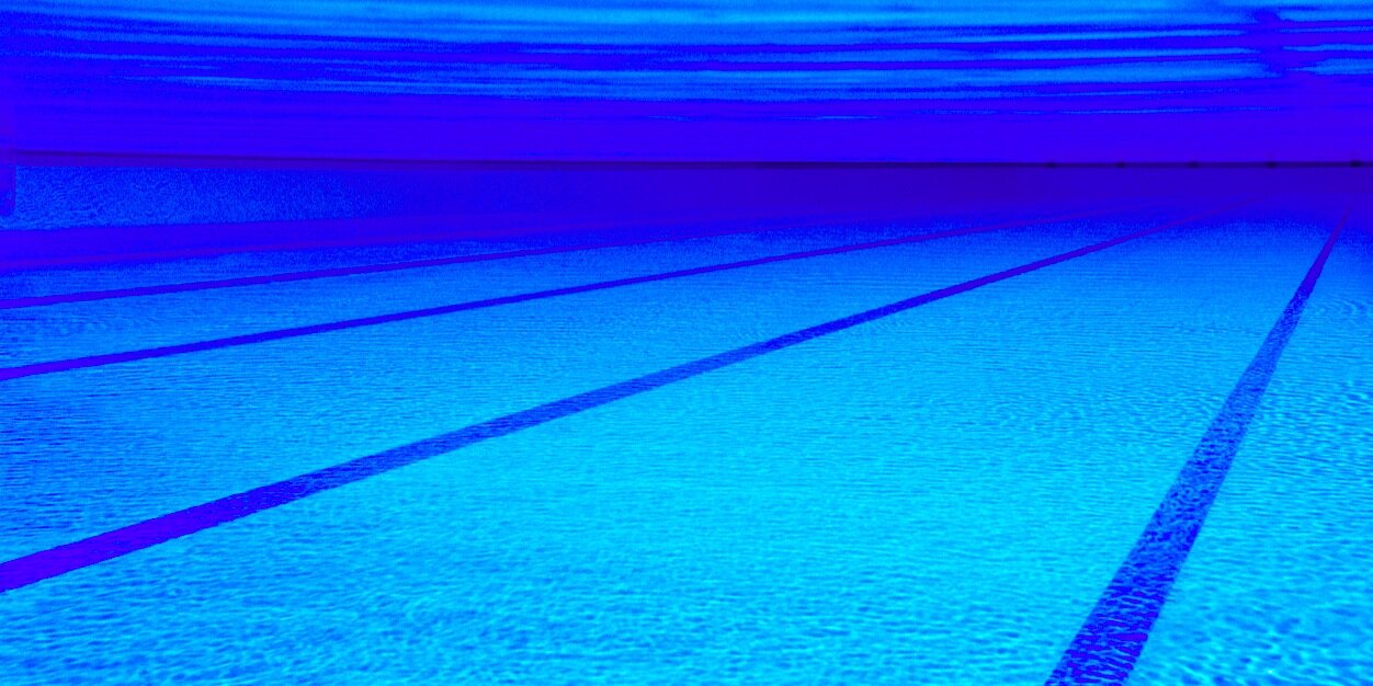 david shackley banner