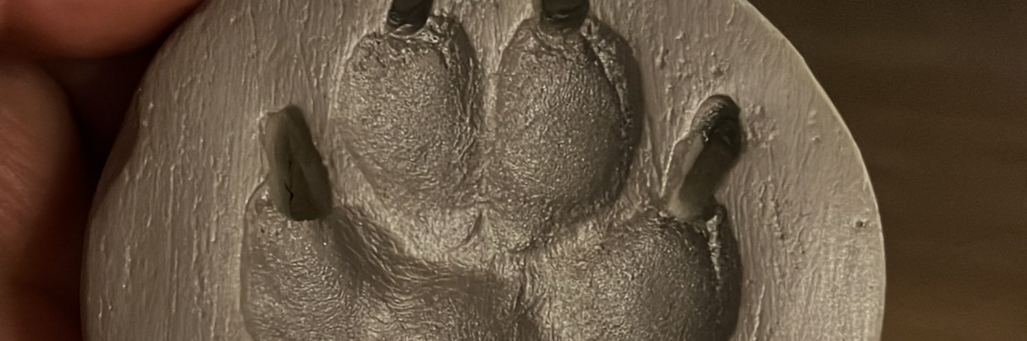 endyleyms's profile banner image