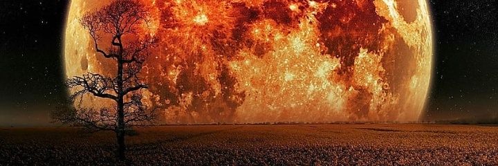 vinierichsen's profile banner image