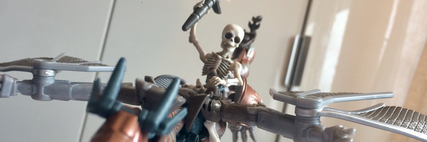 Skeletonizer's profile banner image