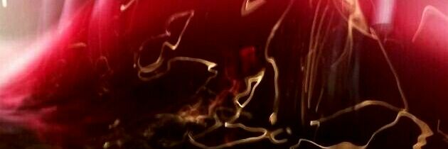 carmen bengoechea banner