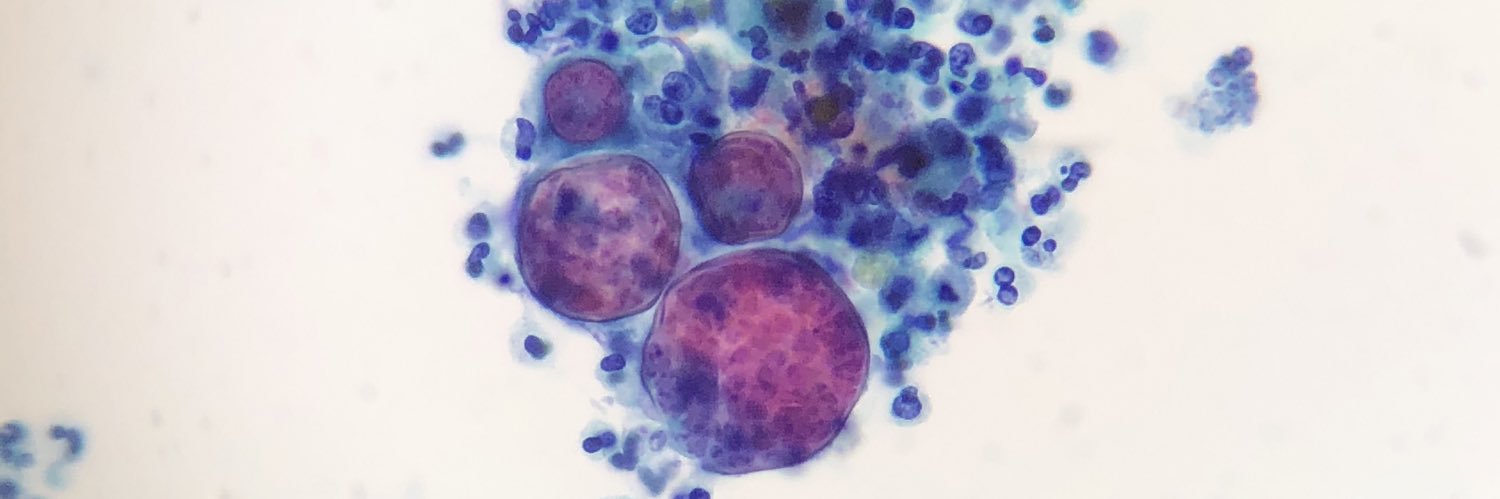 Paul M. Gibbs banner