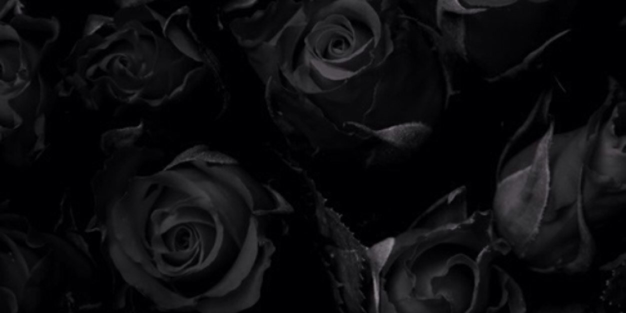 terelanus's profile banner image