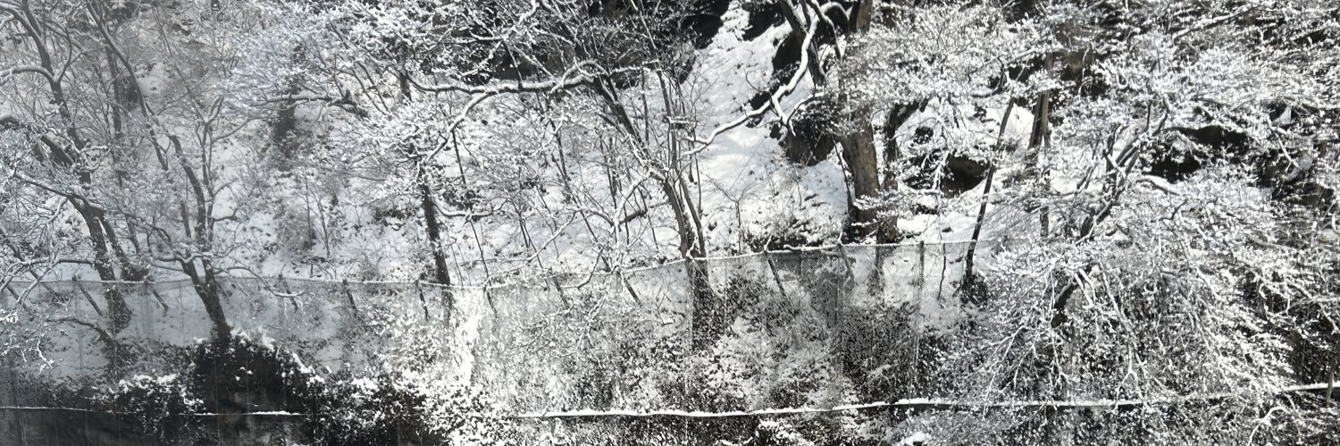 SHIAAIHS's profile banner image