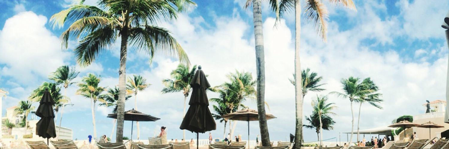 shannonmthomas_'s profile banner image